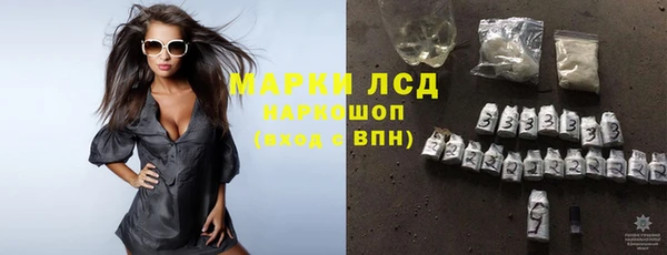 дмт Вяземский