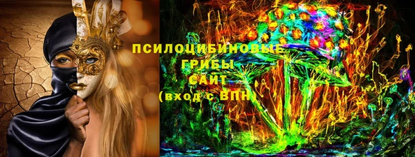 дмт Вяземский