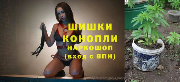 дмт Вяземский