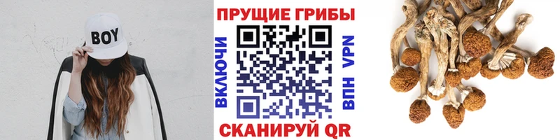Купить закладки  Верхнеуральск  Галлюциногенные грибы мицелий 